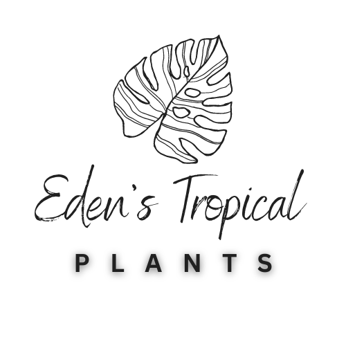 Edens Tropical Plants